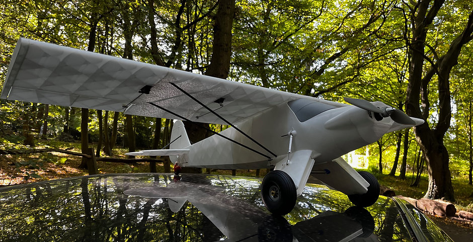 Scrubby Carbon Cub