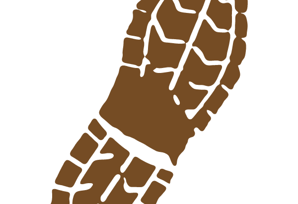Boot Camps: Effective or Naw?