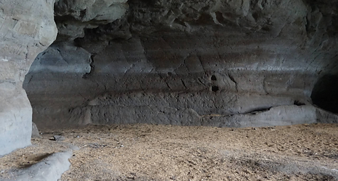 Captura de pantalla 2025-11-05 175552.png