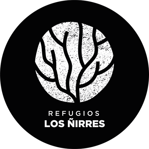 logo ñirres .png