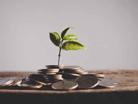 HOM Group proyecta ingresos USD $413 millones para mercado de arriendos temporales en 2025