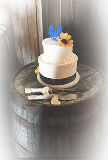 IMG_0992_edited.jpg