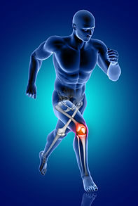 3d-male-medical-figure-running-with-knee-bone-highlighted.jpg