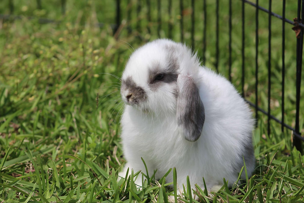 4b909440-c692-4e44-8f87-1707092ec9c6