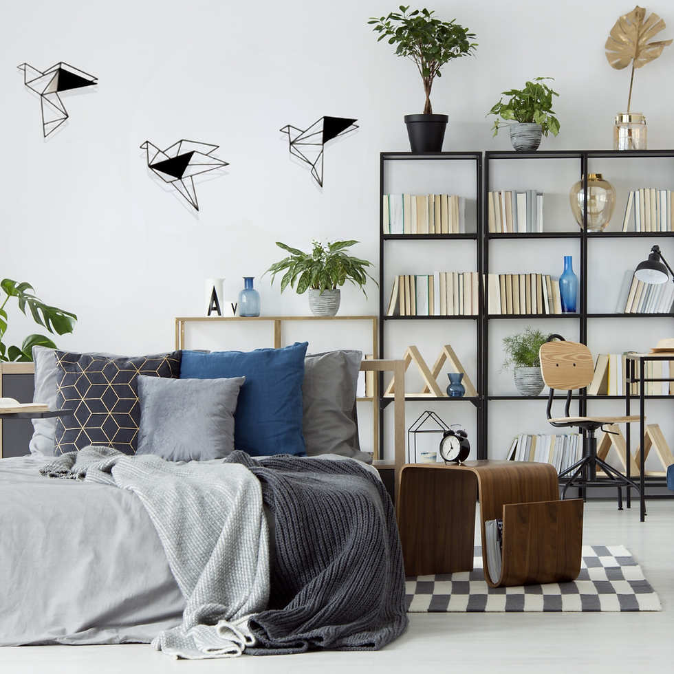 תמונה ממוזערת: 3D BIRDS | BLACK