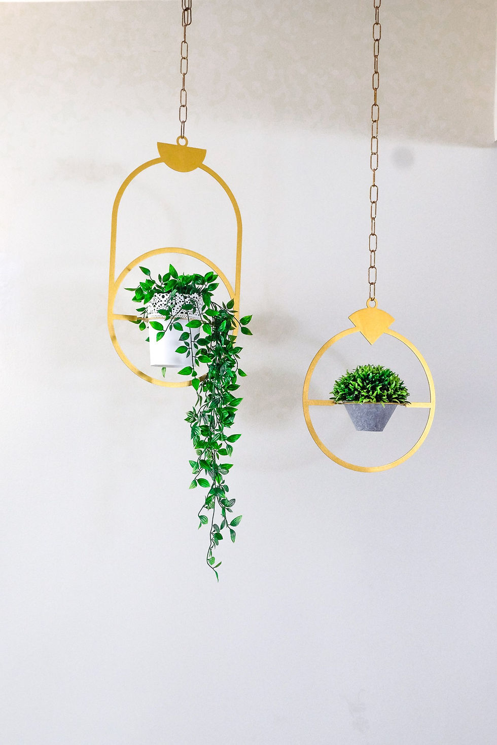 תמונה ממוזערת: JEWEL PLANTS | GOLD