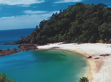 Whale-Bay-pano.jpg
