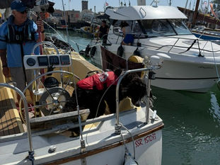 Sailing with a dog into Yarmouth