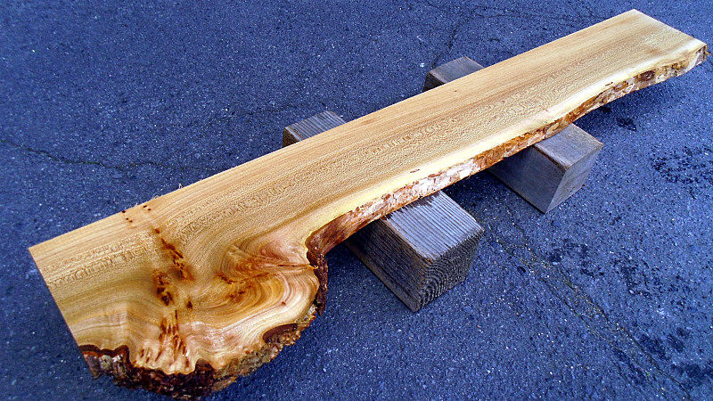サムネイル： 【幅120×奥行15cm規格】楡 ニレ 無垢 天板 一枚板 120×24cm｜ DIY用 ウォールラック・シェルフ向け 無塗装 下仕上げ済み