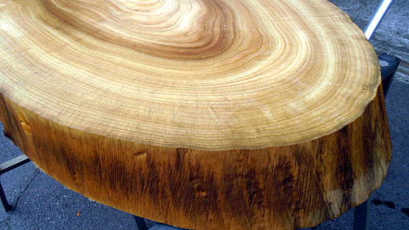 サムネイル： 樟/クス 750x510x60mm 天然木ローテーブル・センターテーブル天板/DIY木材・1枚板・無垢板/下仕上げ済み