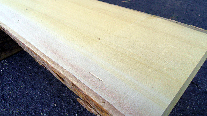 サムネイル： 榧/カヤ 1100x170x20mm 天然木ウォールラック・壁掛けシェルフ天板/DIY木材・1枚板・無垢板/下仕上げ済み