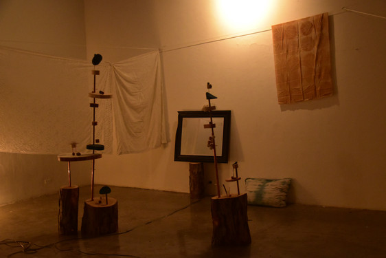 DSC_0393.jpeg