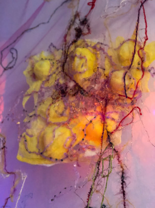 Biodynamic Human (fragment)