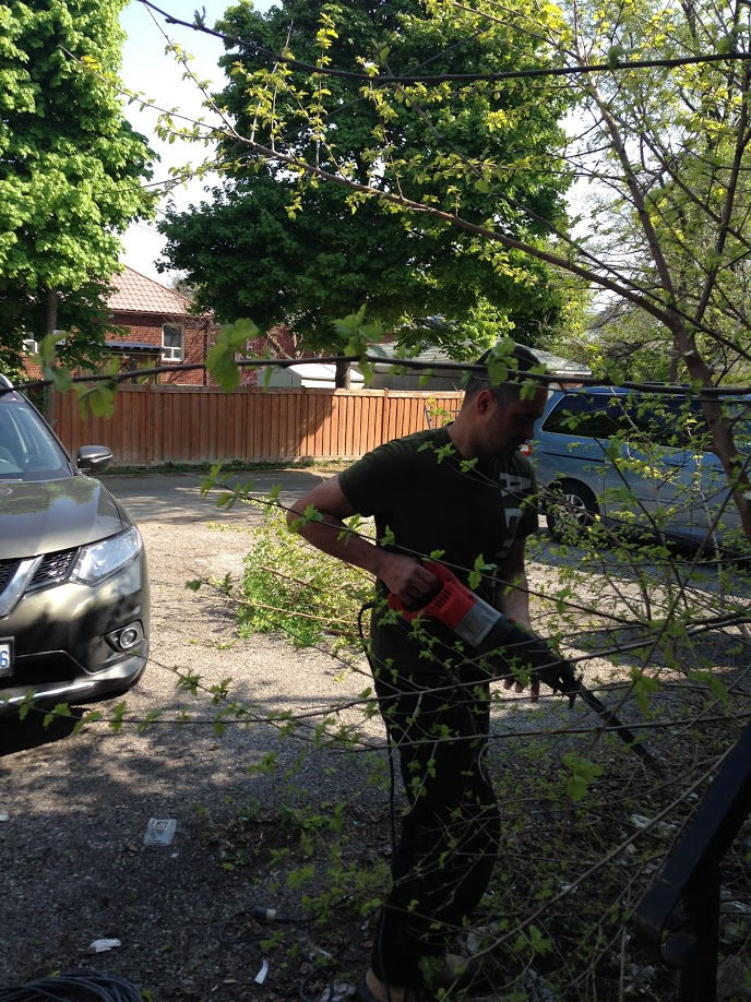 em professional painting landscaping