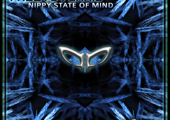 EP - Nippy State of Mind, Ovnimoon Records 2013