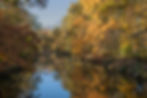 Vibrant autumn trees reflected in a peaceful river
