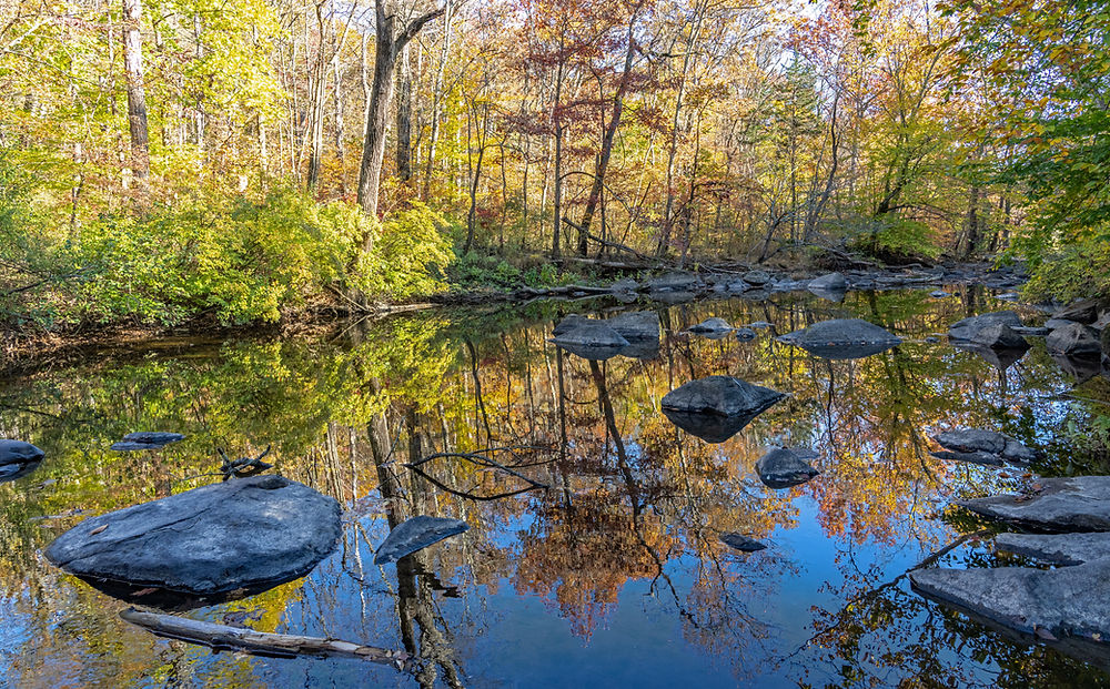River with rocks and autumn tree reflections