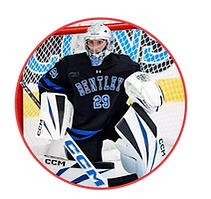 Untitled design (10).png