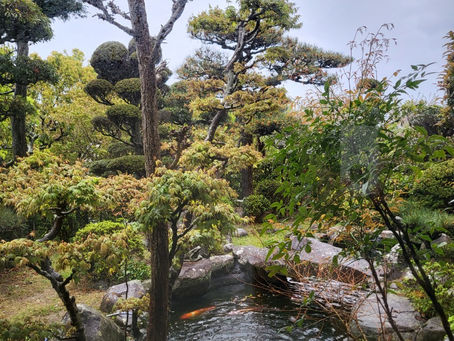 Day 12(4/07):8分雨,2分雲。平均氣溫14度。中高級湧浪。地點:泉南郡岬町淡輪港—四國外海海域。