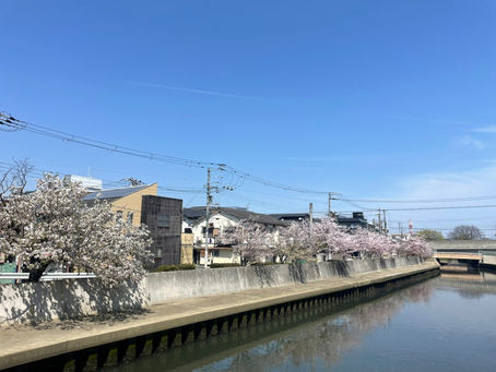 Day 9(4/04):5分晴,5分雲。平均氣溫15度。地點:甲子園