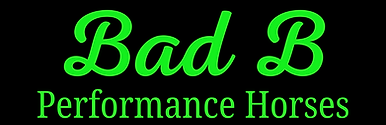 BAD B LOGO.png