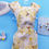 Thumbnail: Fashion Dolls Designer OAK YELLOW FLORAL Sheath Dress