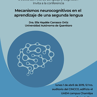 Lenguaje y Cognición