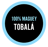 100% Maguey Tobala