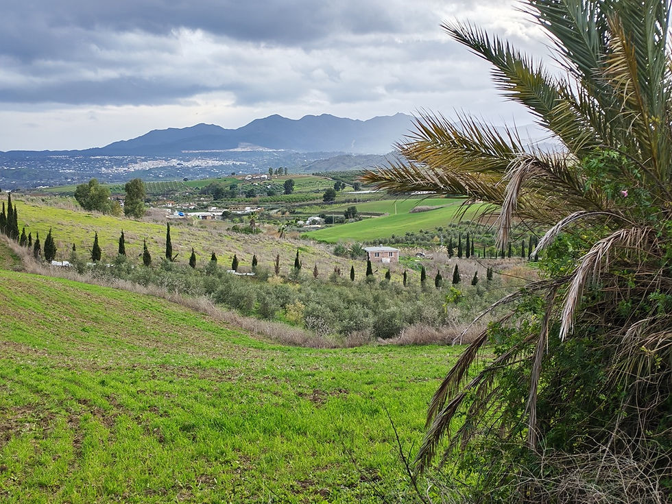 Winter in de " groene" vallei: van sneeuw tot spreadsheets