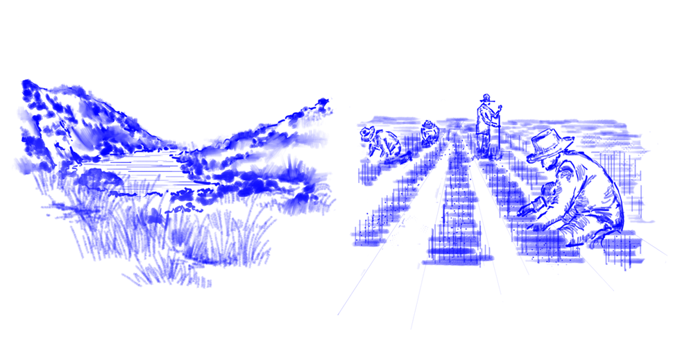 JAR_Website_01.png