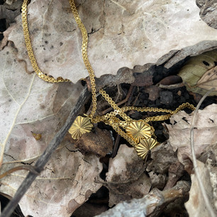 Necklace found in chicago suburbs