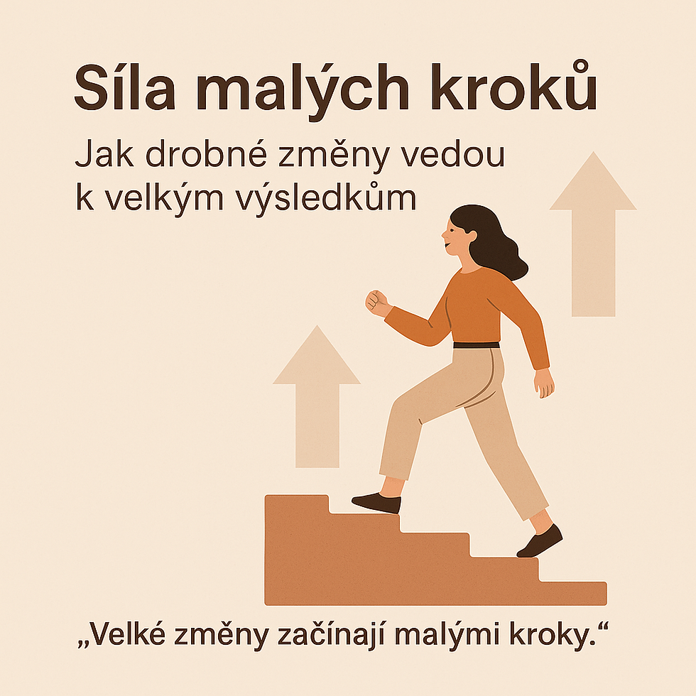 Síla malých kroků