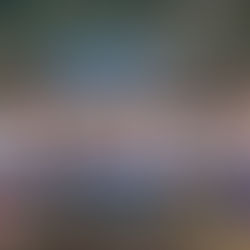 אליפות הצפון קיץ 2024