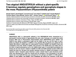 Our joint work with Prof Hiroyoshi Takano (Kumamoto Univ) was published in The Plant Journal