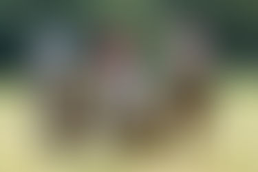 Nos prochains rendez-vous à ne pas rater