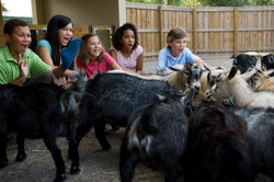 Zoo 1