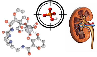 hyperphosphatemia.png