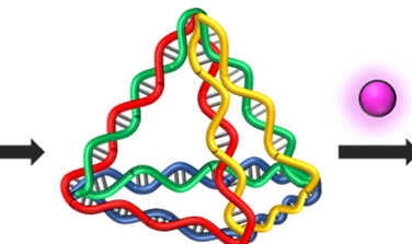 dna.png