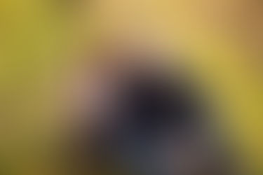 Jen & Garlan | Engagement Session | Twin Lakes Park