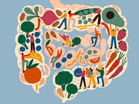Gut Health (Part 1)