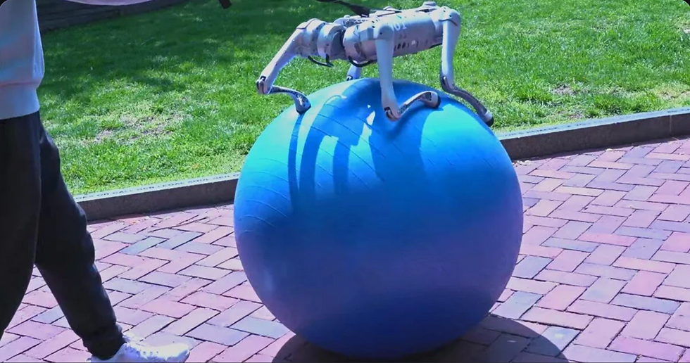 A Robot balancing on a Yoga Ball