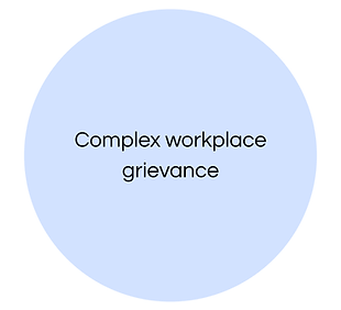 Complex workplace grievance.png