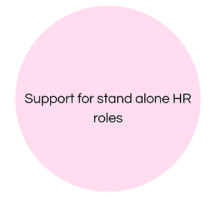 Support for stand alone HR roles.png