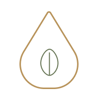 icon (4).png