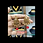 Thumbnail: Fancy necklace with earrings & tikka