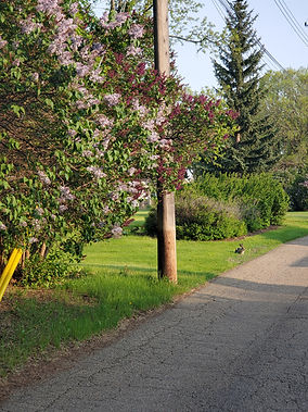 20190527_192233.jpg