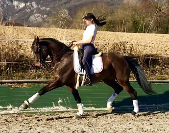 95851857_2918562828229647_72957395269897