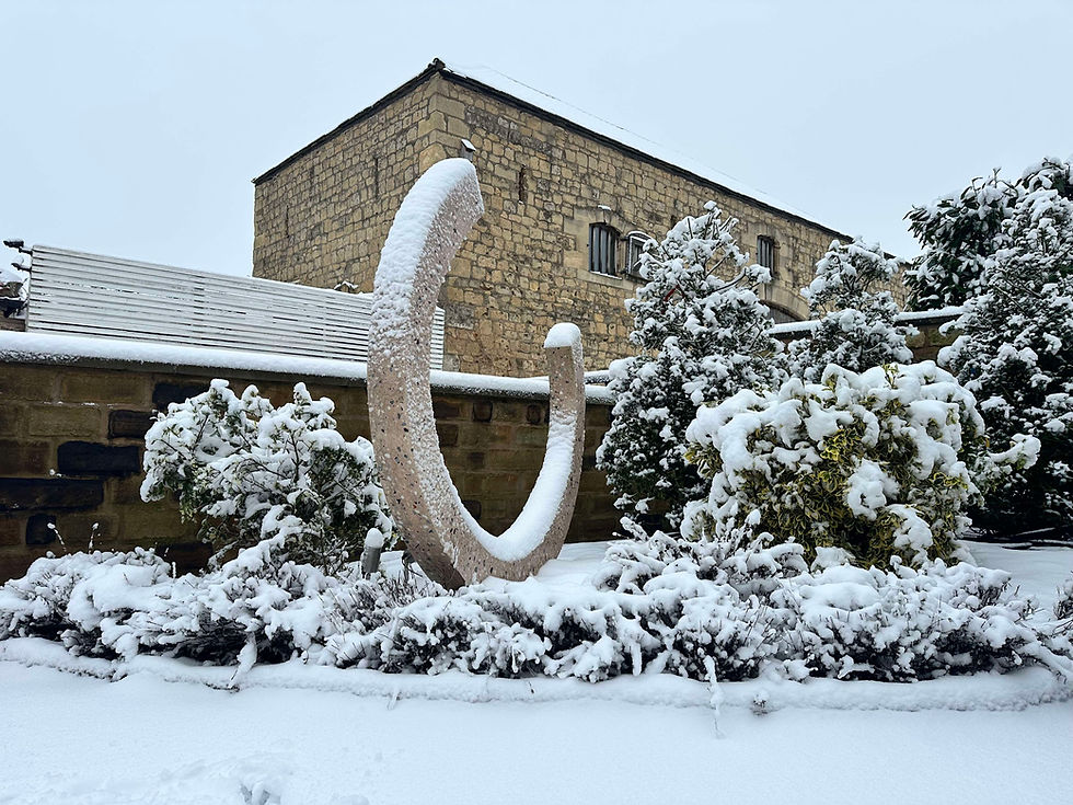 Horseshoe