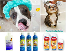 Shampoo-mascotas-famianimal
