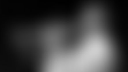 His music, the greatest treasure ever given for the smallest fees ever.